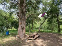 65f77a3c-20f8-4cf4-aa78-db5f04e0951e