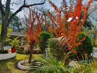 eedc12e1-c169-432d-a1dc-194a9fac948e